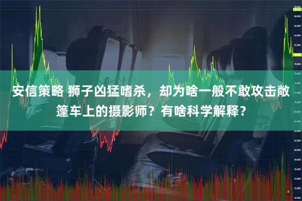安信策略 狮子凶猛嗜杀，却为啥一般不敢攻击敞篷车上的摄影师？有啥科学解释？