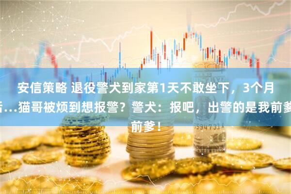 安信策略 退役警犬到家第1天不敢坐下，3个月后…猫哥被烦到想报警？警犬：报吧，出警的是我前爹！