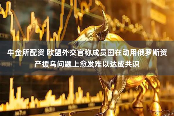 牛金所配资 欧盟外交官称成员国在动用俄罗斯资产援乌问题上愈发难以达成共识